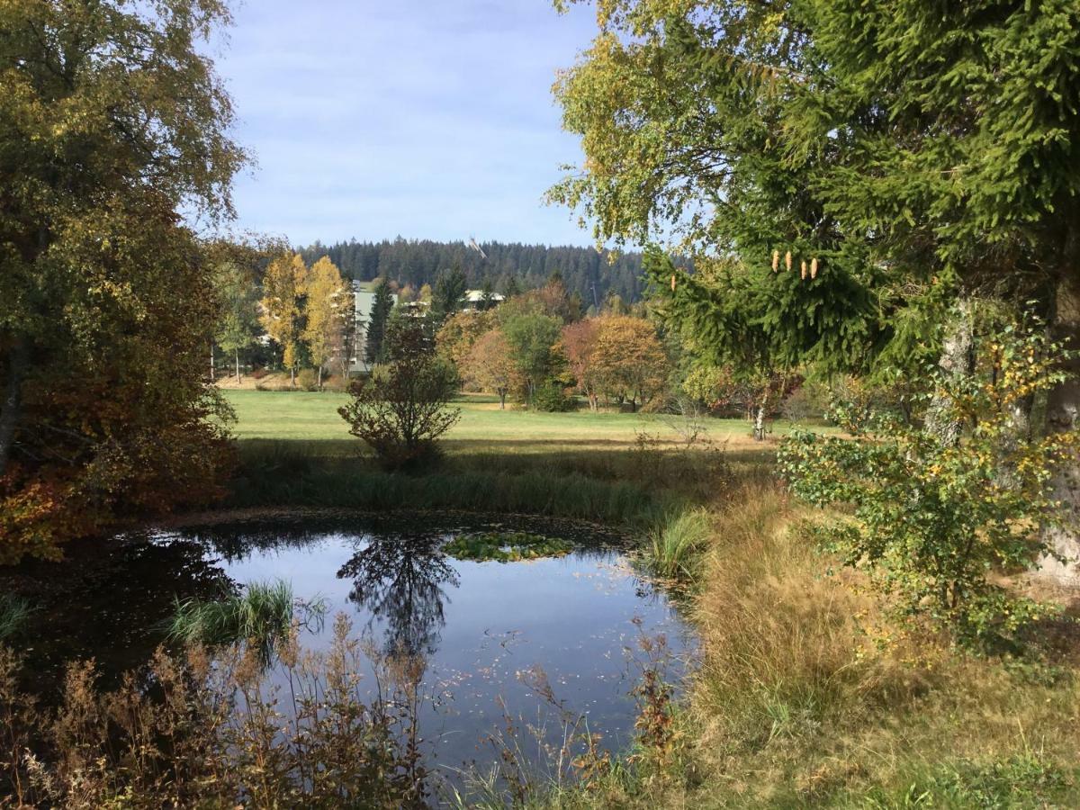Gemuetliche 1Z Fewo In Schoenwald Mit Balkon, Schwimmbad, Sauna, Fitness מראה חיצוני תמונה